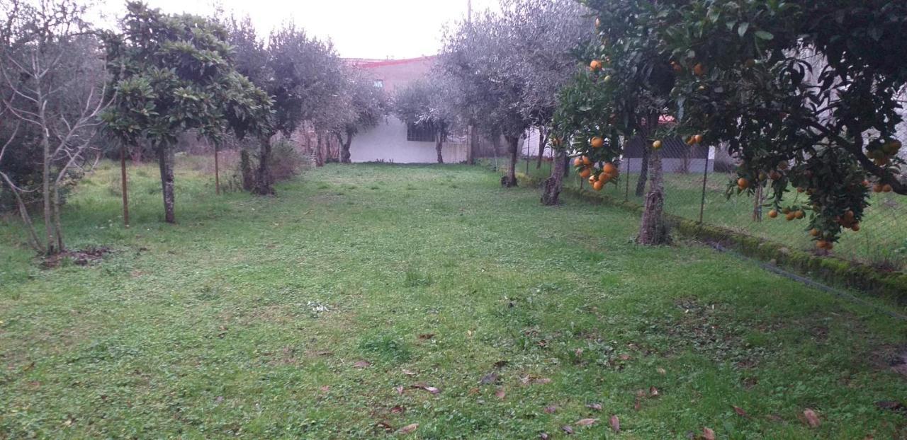 Casa Do Adro Villa Arcozelo  Dış mekan fotoğraf